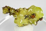 Yellow Adamite Crystal Cluster - Ojuela Mine, Mexico #183728-1